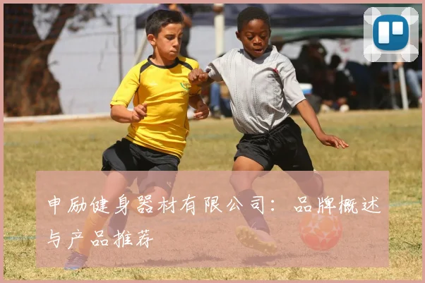 申励健身器材有限公司:品牌概述与产品推荐